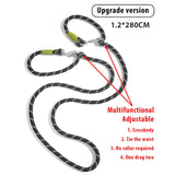 Reflective Nylon Dog Leashes