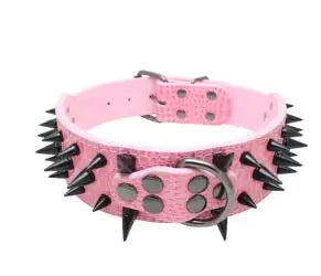 Spiked Studded Leather Collars