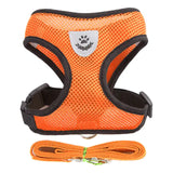 Adjustable Vest Pet Harness