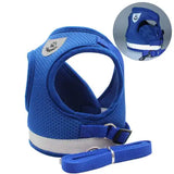 Pet Harness and Leash