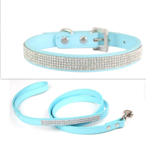 Pet Collar Leash Set