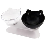 Double Cat Bowl With Raised Stand