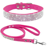 Pet Collar