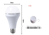 Eco Bright LED Emergency Light