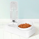 Pet Food and Water Feeder