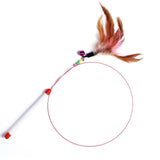 Feather Tease Cat Toy