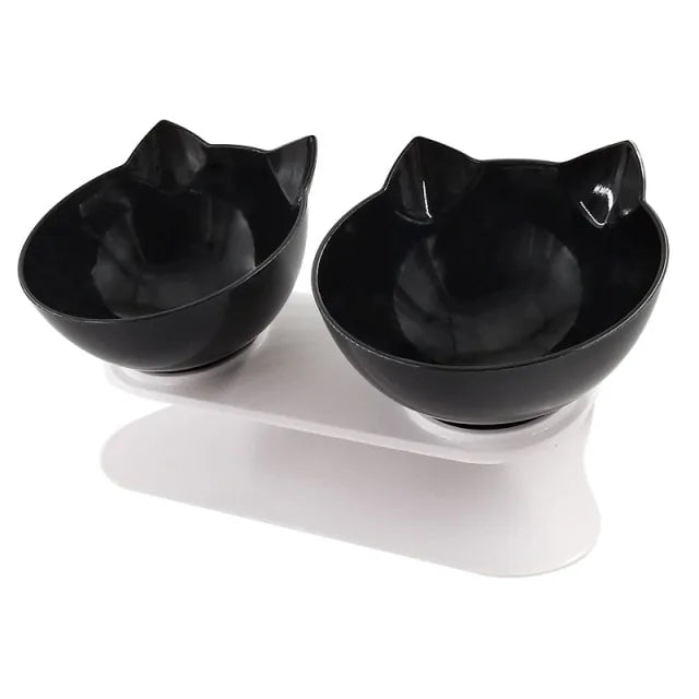 Double Cat Bowl With Raised Stand