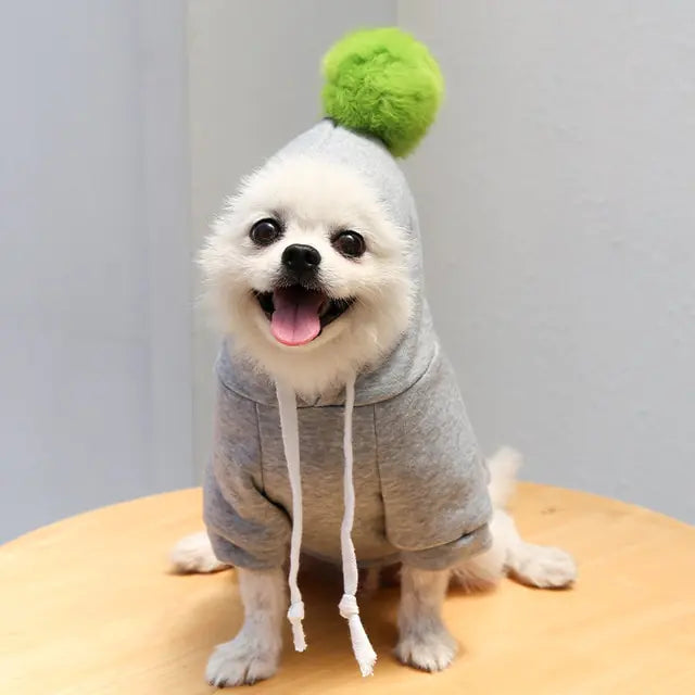 Fruit Pet Hoodies