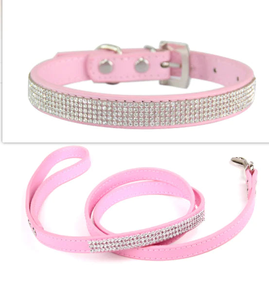 Pet Collar Leash Set