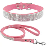 Pet Collar