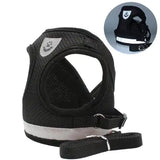 Pet Harness and Leash