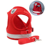 Pet Harness and Leash