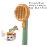 Self Cleaning Pumpkin Pet Brush