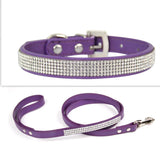 Pet Collar Leash Set