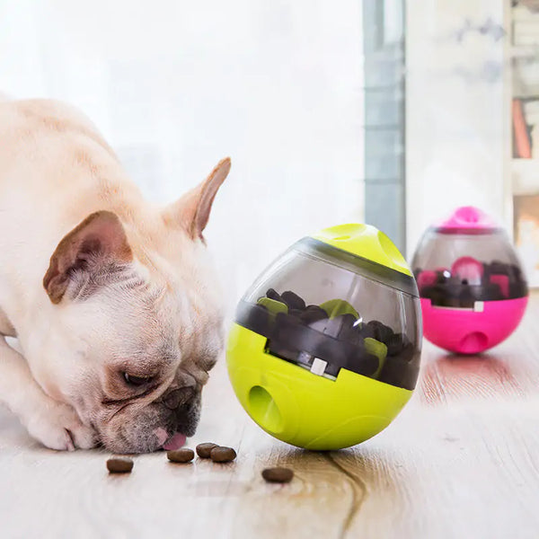 Pet IQ Treat Toy