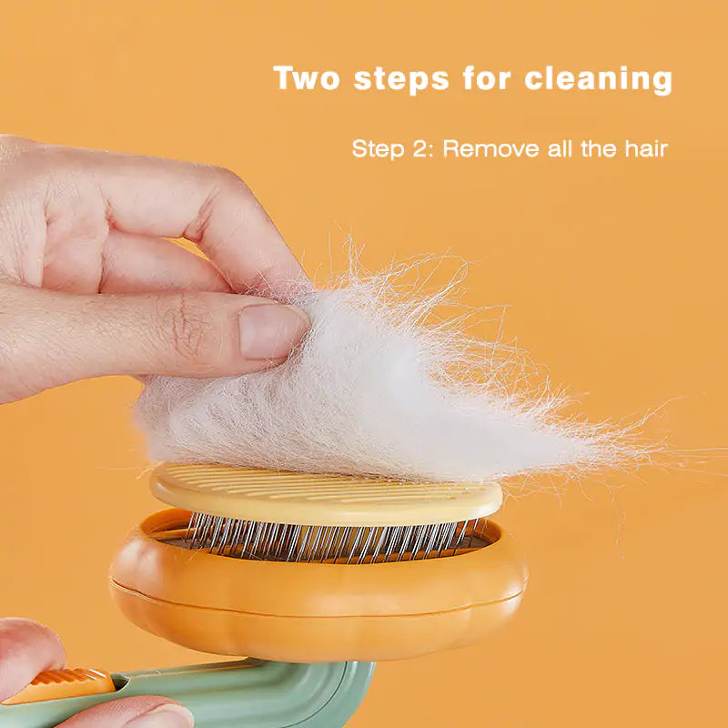 Self Cleaning Pumpkin Pet Brush