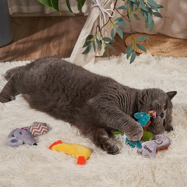 Plush Bite Resistant Cat Toy