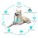 Multifunctional Molar Bite Toy