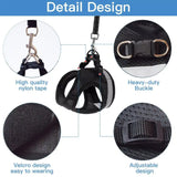 Pet Harness and Leash