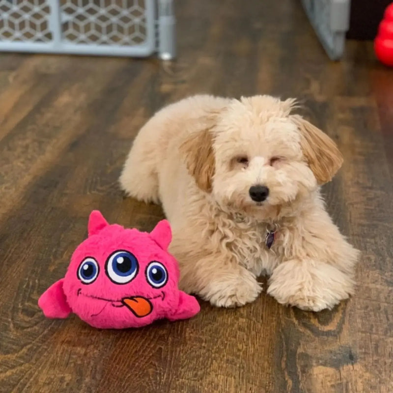 Cute Monster Dog Toy