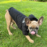 Reflective Pet Hoodie Jacket