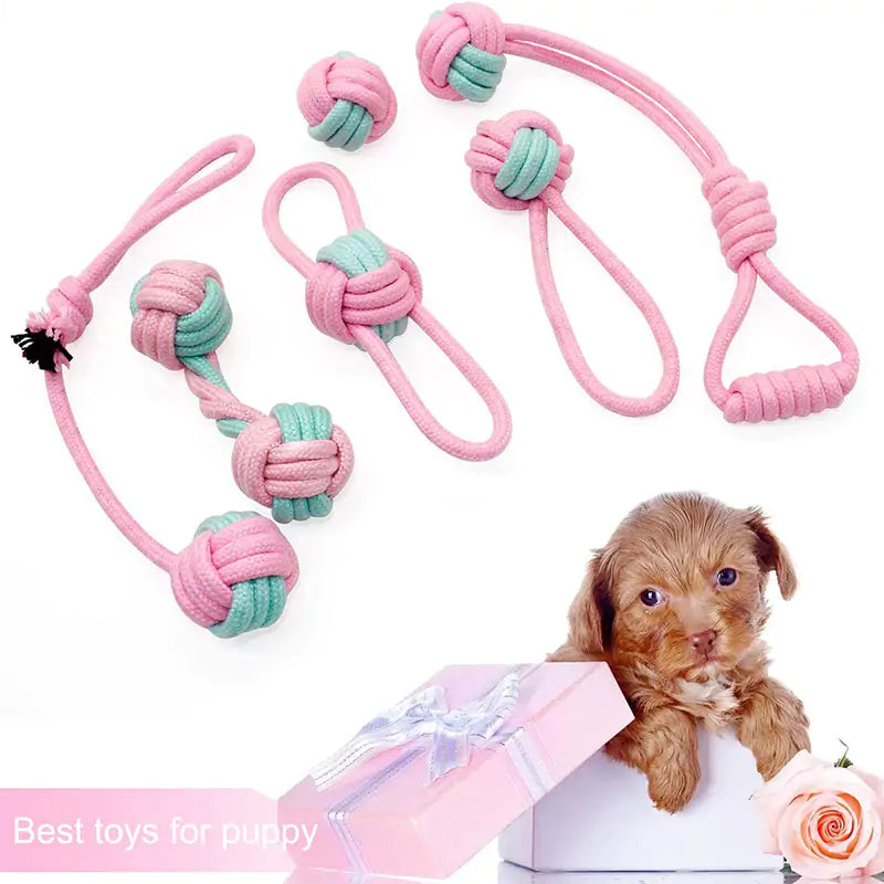 Dog Chew Toys