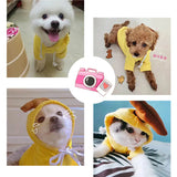 Fruit Pet Hoodies