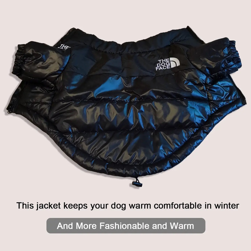 Warm Fashionable Dog Jackets