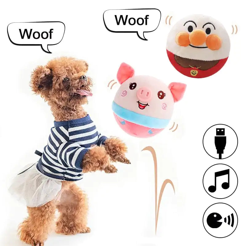 Interactive Talking Ball for Pets