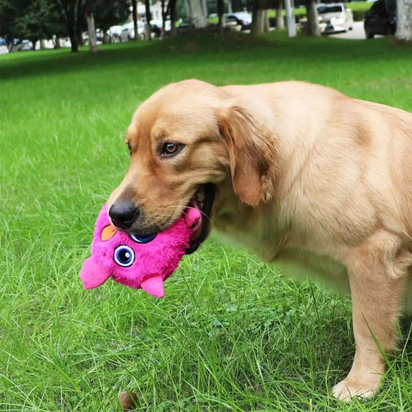 Cute Monster Dog Toy