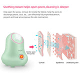 Nano Ionic Face Steamer