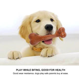 Dog's Tough Bone Chew Toys