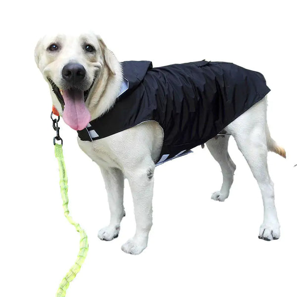 Dog Raincoat