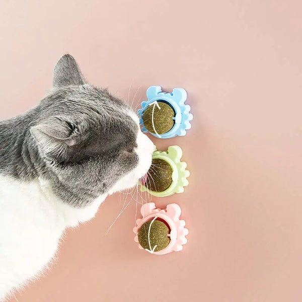 Catnip Molar Teeth Cleaning Ball