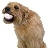 Silicon Chew Ball Teeth Toy for Large Breeds