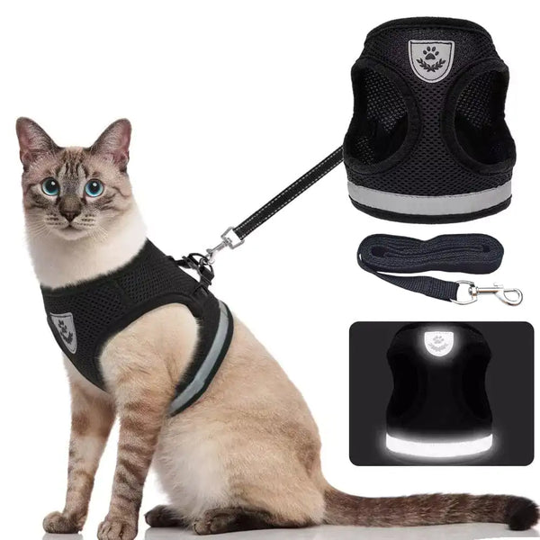 Pet Harness and Leash