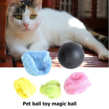 Motion Activated Pet Ball