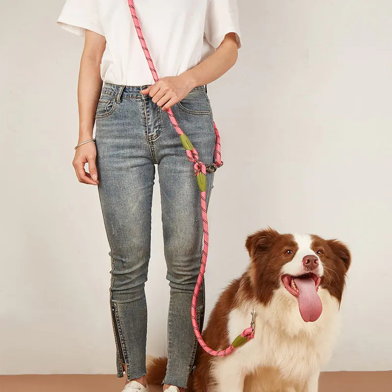 Reflective Nylon Dog Leashes