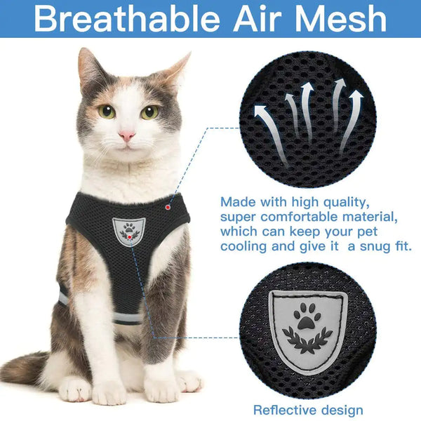 Pet Harness and Leash