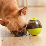 Pet IQ Treat Toy