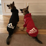 Dog Sport Hoodies