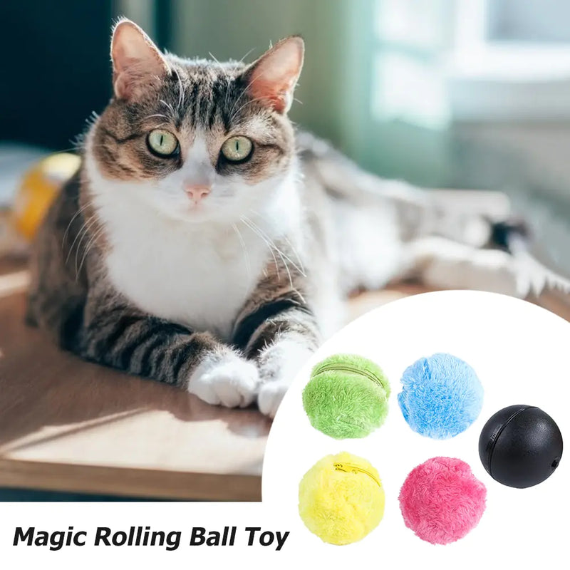 Motion Activated Pet Ball