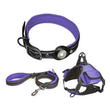 AirTag Pet Harness Vest Set