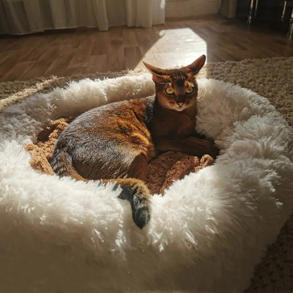 Pet Sleeping Bed