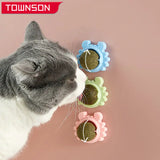 Healthy Cat Catnip Snack Toy