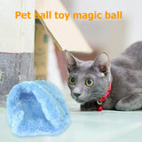 Motion Activated Pet Ball