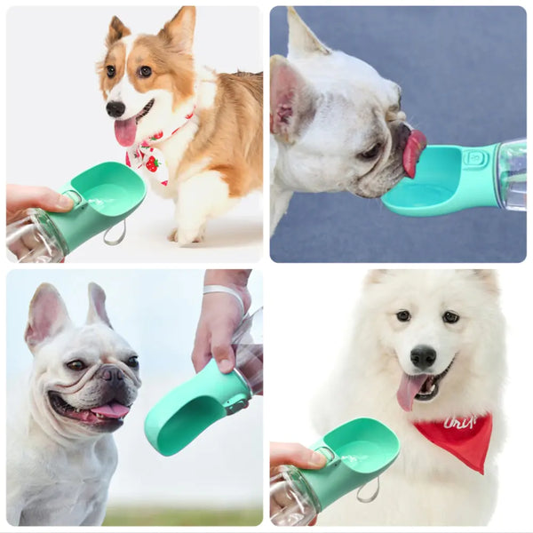 Dog Drinking Bottle