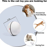 Smart Interactive Pet Ball