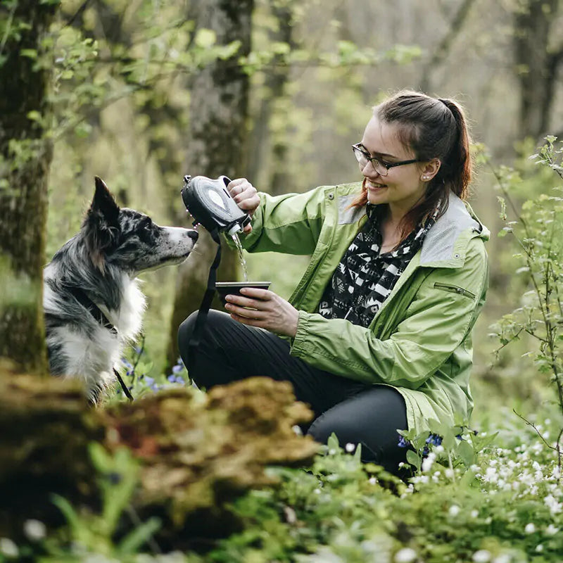 Multi-functional Pet Leash