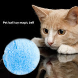 Motion Activated Pet Ball